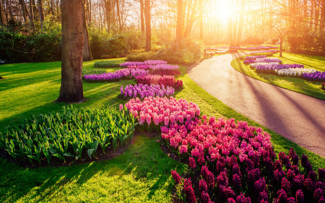 The Understated Luxury of Intentional Landscaping